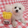 Fry_DogToy_Box_WithDog